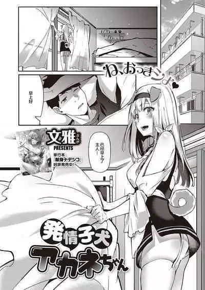 [Bunga] Hatsujou Koinu Akane-chan | 发情小狗茜 (COMIC ExE 29) [Chinese] [暴碧汉化组×不够色汉化组] [Digital]