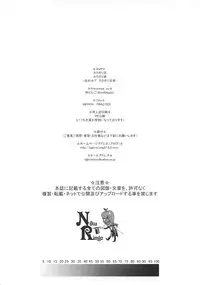 (C74) [Niku Ringo (Kakugari Kyoudai)] NIPPON PRACTICE (Street Fighter) [English] [desudesu]