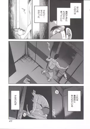 うしろのまなざし (全1巻)