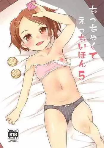 Chicchakute Ecchi Hon 5