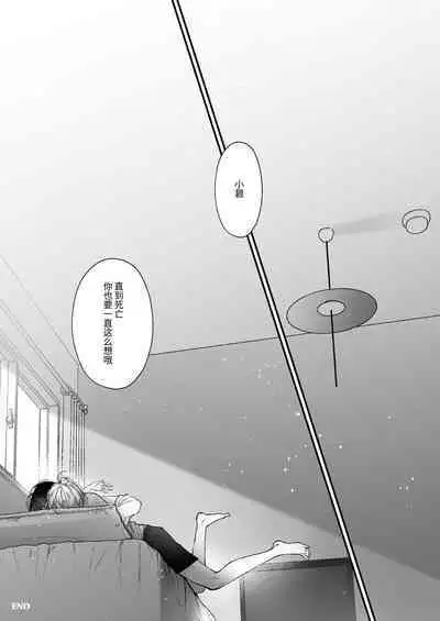 Hinadori no Musou - Dreaming of baby bird