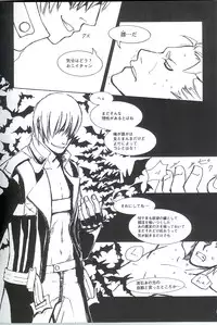 [Devil May Cry] Royal Guard (Dante X Vergil)