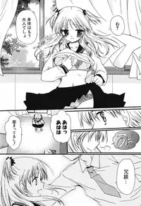 COMIC Potpourri Club 2005-11