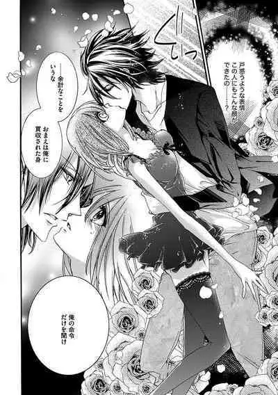 鬼畜兄弟の悶絶調教~私はいいなり奴隷~