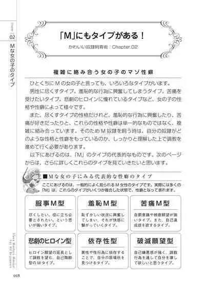 Zero kara Hajimeru SM Manual Kawaii Dorei Shiikujutsu