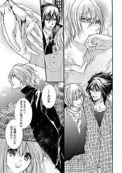 鬼畜兄弟の悶絶調教~私はいいなり奴隷~