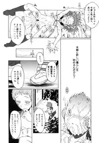 COMIC Megastore 2005-09