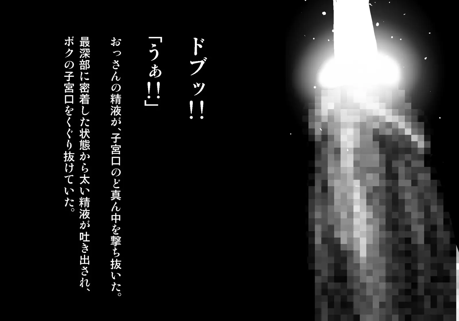 フェアリーセティ