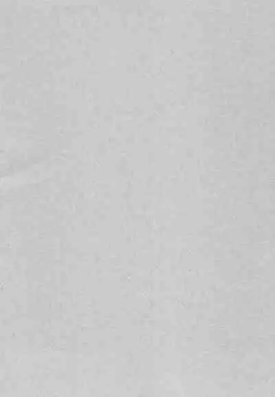 Bunny no Ikagawashii Omise