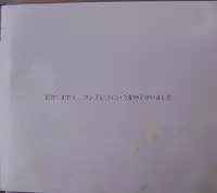 処女はお姉さまに恋してる　特典絵本 ツンデレラ