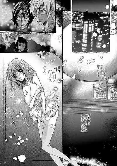 鬼畜兄弟の悶絶調教~私はいいなり奴隷~