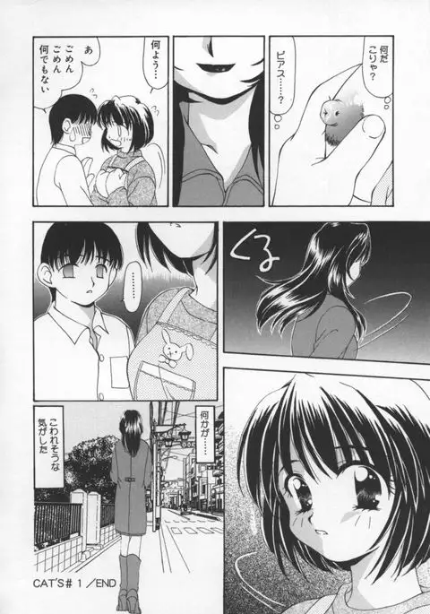 Cats On The Black Cage