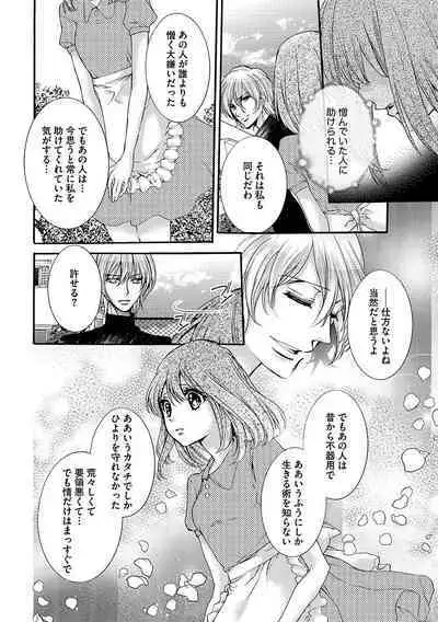 鬼畜兄弟の悶絶調教~私はいいなり奴隷~