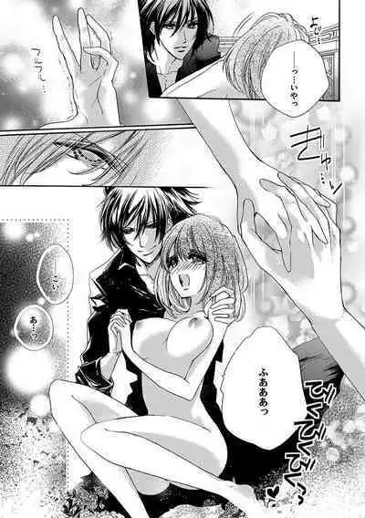 鬼畜兄弟の悶絶調教~私はいいなり奴隷~