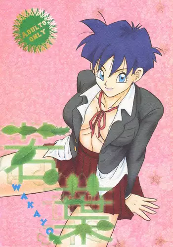 [Chirigami Goya, Fusuma Goten (Shoji Hariko, Kuri)] Wakayo (Dragon Ball GT)