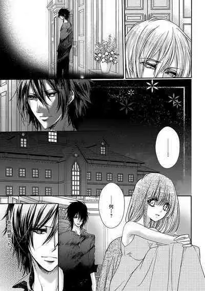 鬼畜兄弟の悶絶調教~私はいいなり奴隷~