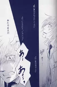 [Devil May Cry] Fragment (VergilxDante)