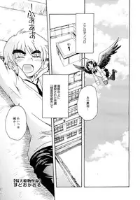 COMIC Megastore 2006-11