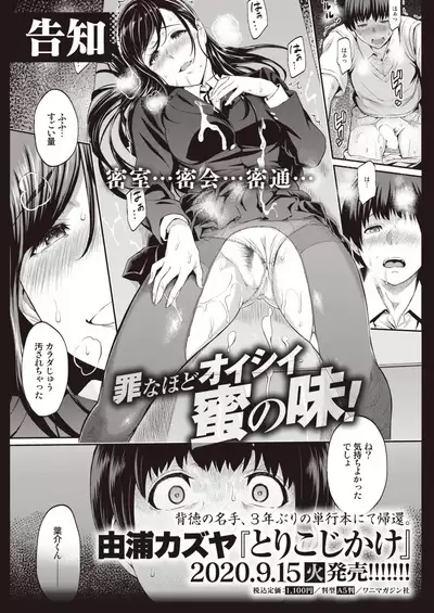 COMIC Shitsurakuten 2020-10