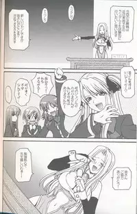 [Bloody Hawk] Adult Random (QMA)