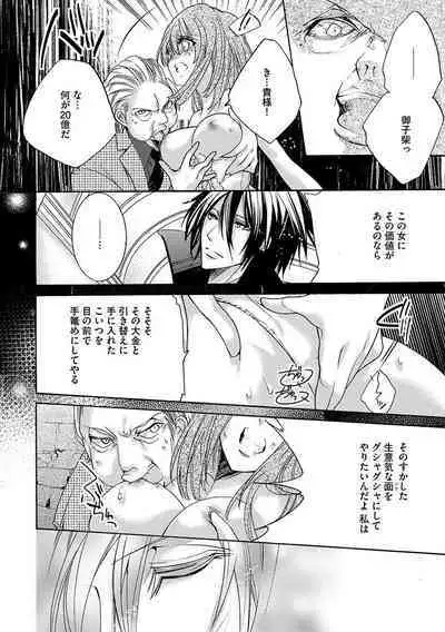 鬼畜兄弟の悶絶調教~私はいいなり奴隷~