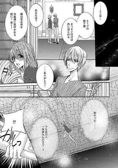 鬼畜兄弟の悶絶調教~私はいいなり奴隷~