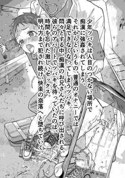 Reipu sa rete kairaku ochi chikan ni goukan sa reta shounen