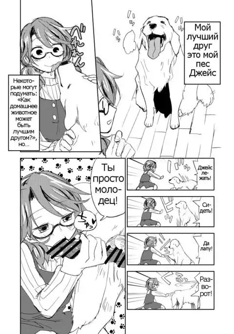 Tomodachi ga Dekimashita | I made a Friend!