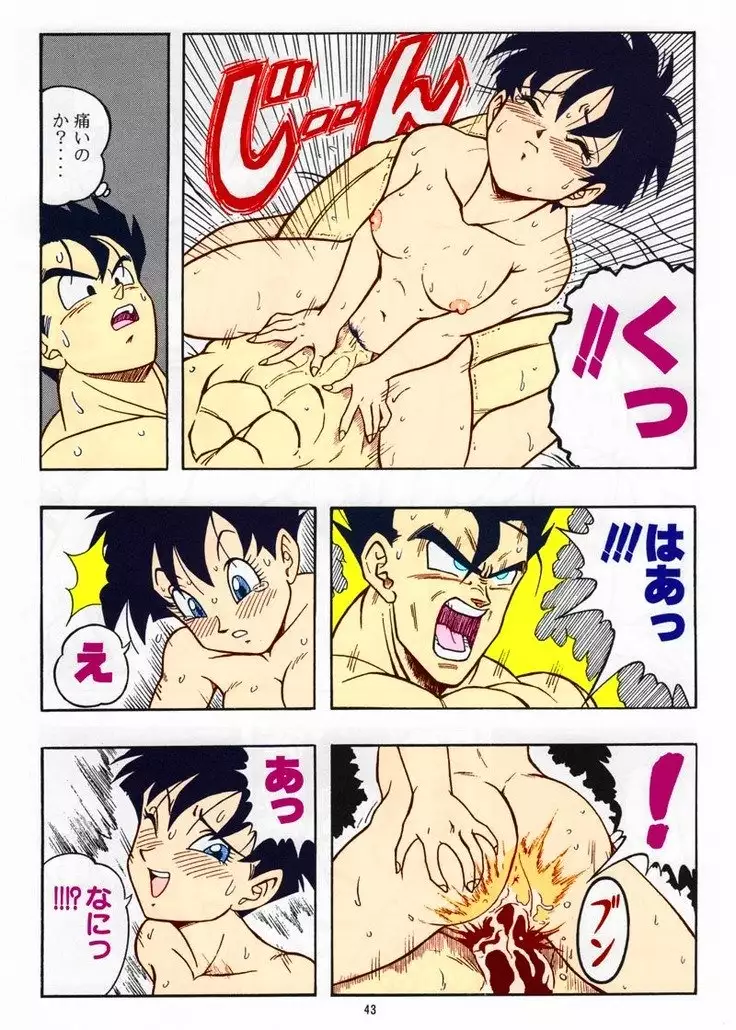 DRAGONBALL H Bessatsu Soushuuhen