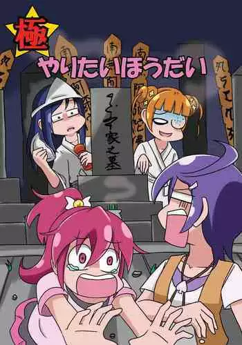 Kiwami Yaritai Houdai | 極 想怎么玩就怎么玩