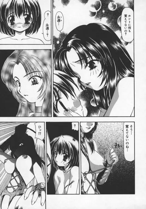 Cats On The Black Cage