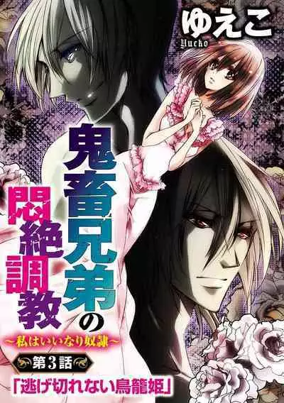 鬼畜兄弟の悶絶調教~私はいいなり奴隷~