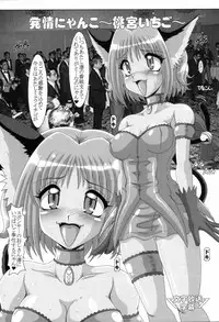 (C61) [Hakueki Shobou (A-Teru Haito)] Choukyou Mew Mew (Tokyo Mew Mew)