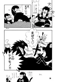 (C51) [Chirigami Goya, Fusuma Goten (Shoji Haruko)] ZZZ (Dragon Ball Z)