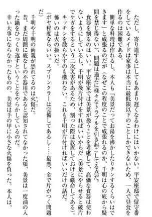 年上メイドの新婚日記