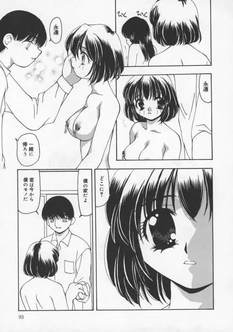 Cats On The Black Cage