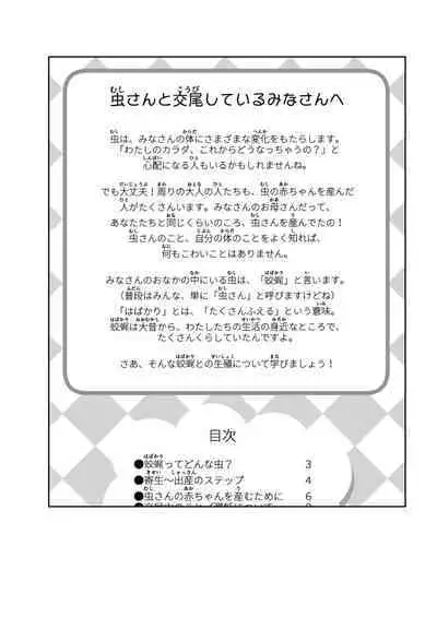 Skirt to Kiseichuu 2