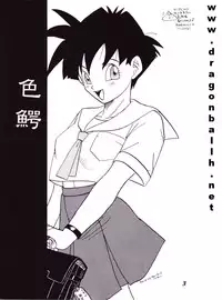 (C52) [Fusuma Goten (Shouji Hariko)] Irohani (Dragonball Z)
