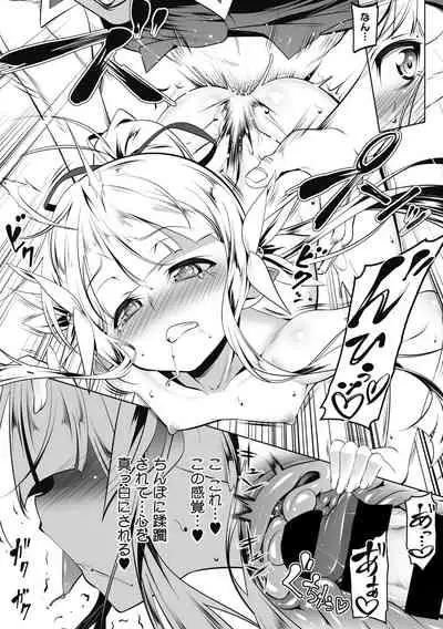 Koukotsu no Kishi Elfina Kouki na Elf Kishi ga Ochiru made~