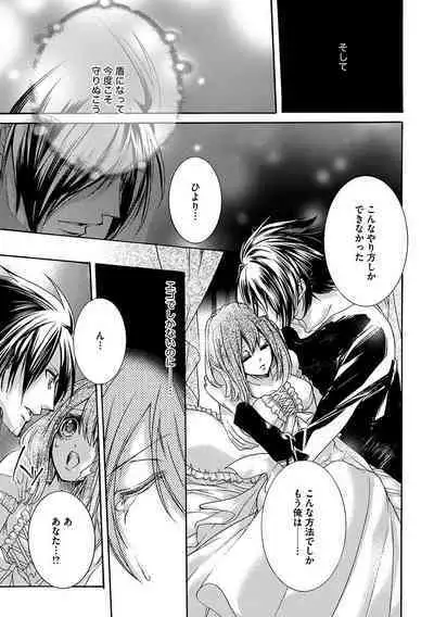 鬼畜兄弟の悶絶調教~私はいいなり奴隷~