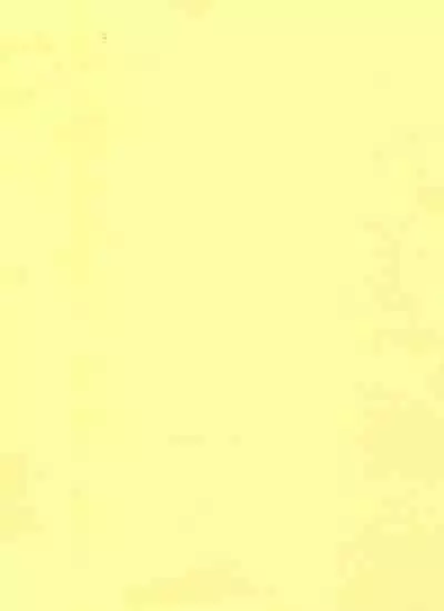 [Yukinko Market (Fuyuto)] Overflow (Dr.STONE)