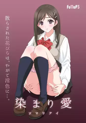 [Fullup3 ]Somari ai
