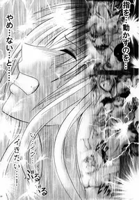 [Crimson (Carmine)] Sefiria Kiwami (Black Cat)