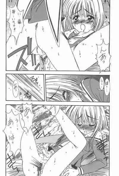 Momoiro Settoudan Vol. 2