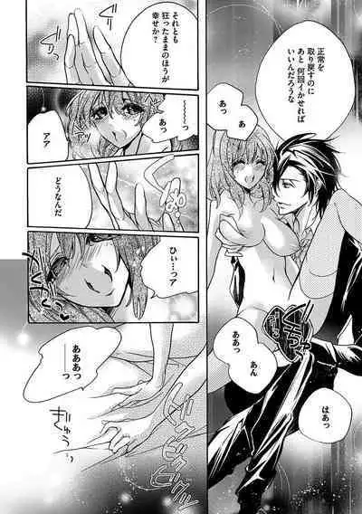 鬼畜兄弟の悶絶調教~私はいいなり奴隷~