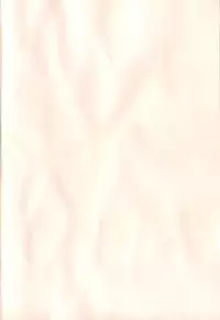 [Makita Yoshiharu] Radical Temptation