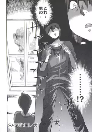 うしろのまなざし (全1巻)