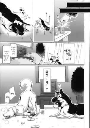 Juukan Hitoduma Kasumi -korean-