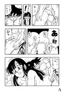 [Chirigami Goya / Fusuma Goten] Y (Dragonball)