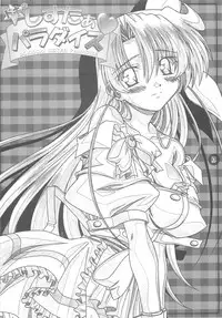 (C64) [Mahirutei (Izumi Mahiru)] Sister paradise